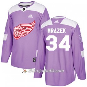 Män Ishockey Detroit Red Wings Tröja Petr Mrazek 34 Adidas 2017-2018 Lila Fights Cancer Practice Authentic
